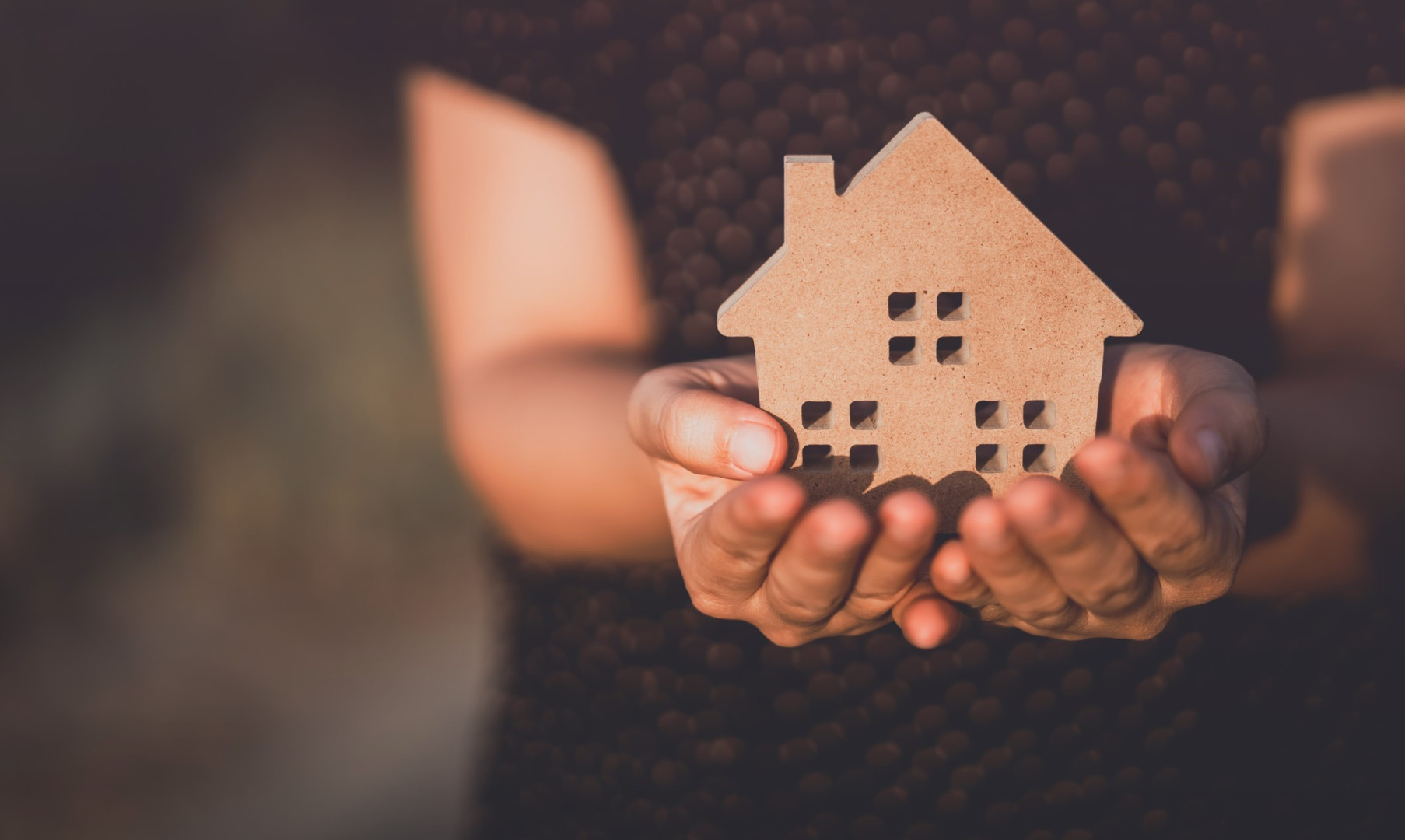 Hands holding a wooden house